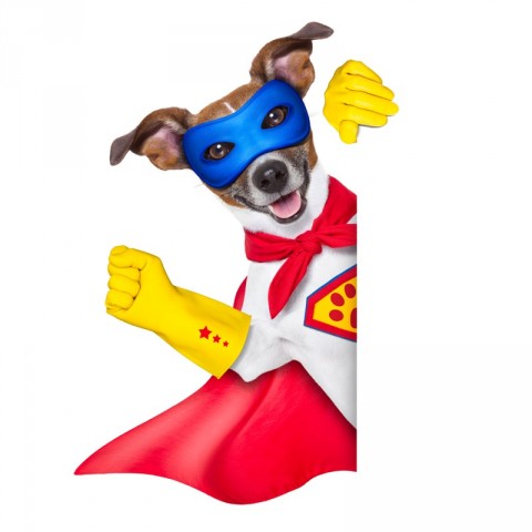 Astropup the Hero - Astropup Audiobooks - Free Audio Books | Knigi-Audio.com/en/