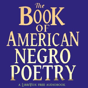 The Book of American Negro Poetry - James Weldon Johnson Audiobooks - Free Audio Books | Knigi-Audio.com/en/