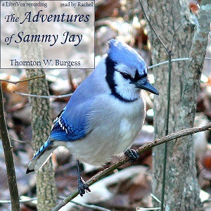 The Adventures of Sammy Jay Audiobooks - Free Audio Books | Knigi-Audio.com/en/