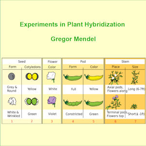 Experiments in Plant Hybridisation - Gregor MENDEL Audiobooks - Free Audio Books | Knigi-Audio.com/en/
