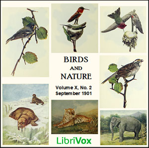 Birds and Nature, Vol. X, No 2, September 1901 - Various Audiobooks - Free Audio Books | Knigi-Audio.com/en/