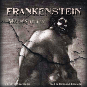 Frankenstein, or The Modern Prometheus (Edition 1831) - Mary Wollstonecraft Shelley Audiobooks - Free Audio Books | Knigi-Audio.com/en/