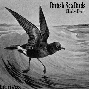 British Sea Birds - Charles DIXON Audiobooks - Free Audio Books | Knigi-Audio.com/en/