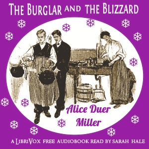 The Burglar and the Blizzard - Alice DUER MILLER Audiobooks - Free Audio Books | Knigi-Audio.com/en/