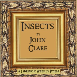 Insects - John Clare Audiobooks - Free Audio Books | Knigi-Audio.com/en/