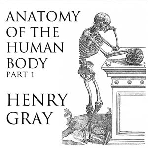 Anatomy of the Human Body, Part 1 (Gray's Anatomy) - Henry Gray Audiobooks - Free Audio Books | Knigi-Audio.com/en/