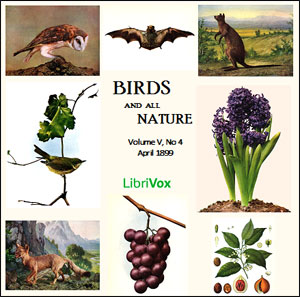 Birds and All Nature, Vol. V, No 4, April 1899 - Various Audiobooks - Free Audio Books | Knigi-Audio.com/en/