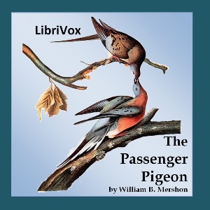 The Passenger Pigeon - William B. Mershon Audiobooks - Free Audio Books | Knigi-Audio.com/en/