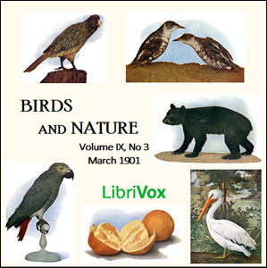 Birds and Nature, Vol. IX, No 3, March 1901 - Various Audiobooks - Free Audio Books | Knigi-Audio.com/en/