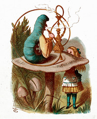 Alice In Wonderland Chapter 5 - Alice in Wonderland Audiobooks - Free Audio Books | Knigi-Audio.com/en/