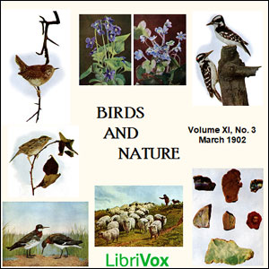Birds and Nature, Vol. XI, No 3, March 1902 - Various Audiobooks - Free Audio Books | Knigi-Audio.com/en/