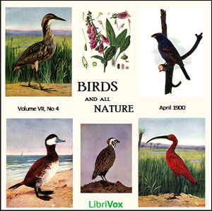 Birds and All Nature, Vol. VII, No 4, April 1900 - Various Audiobooks - Free Audio Books | Knigi-Audio.com/en/