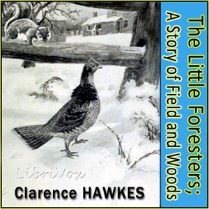 The Little Foresters; A Story of Field and Woods - Clarence Hawkes Audiobooks - Free Audio Books | Knigi-Audio.com/en/