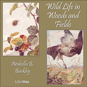 Wild Life in Woods and Fields - Arabella B. Buckley Audiobooks - Free Audio Books | Knigi-Audio.com/en/