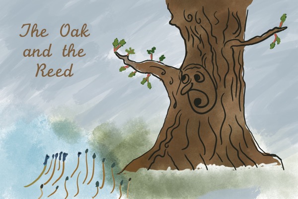 The Oak and the Reed - Aesop Audiobooks - Free Audio Books | Knigi-Audio.com/en/