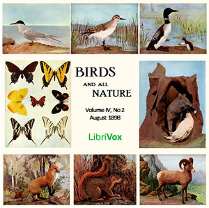 Birds and All Nature, Vol. IV, No 2, August 1898 - Various Audiobooks - Free Audio Books | Knigi-Audio.com/en/