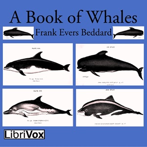 A Book of Whales - Frank Evers Beddard Audiobooks - Free Audio Books | Knigi-Audio.com/en/