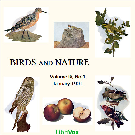 Birds and Nature, Vol. IX, No 1, January 1901 - Various Audiobooks - Free Audio Books | Knigi-Audio.com/en/