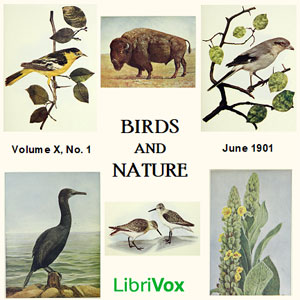 Birds and Nature, Vol. X, No 1, June 1901 - Various Audiobooks - Free Audio Books | Knigi-Audio.com/en/
