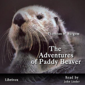 The Adventures of Paddy Beaver - Thornton W. Burgess Audiobooks - Free Audio Books | Knigi-Audio.com/en/