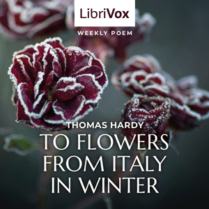 To Flowers From Italy In Winter - Thomas Hardy Audiobooks - Free Audio Books | Knigi-Audio.com/en/