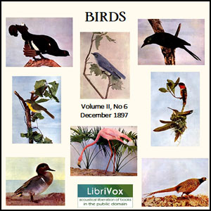 Birds, Vol. II, No 6, December 1897 - Various Audiobooks - Free Audio Books | Knigi-Audio.com/en/