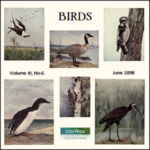 Birds, Vol. III, No 6, June 1898 - Various Audiobooks - Free Audio Books | Knigi-Audio.com/en/