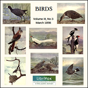 Birds, Vol. III, No 3, March 1898 - Various Audiobooks - Free Audio Books | Knigi-Audio.com/en/