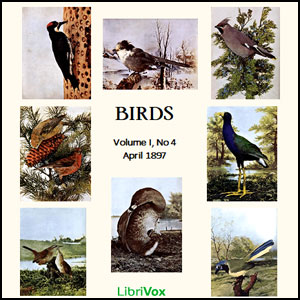 Birds, Vol. I, No 4, April 1897 - Various Audiobooks - Free Audio Books | Knigi-Audio.com/en/