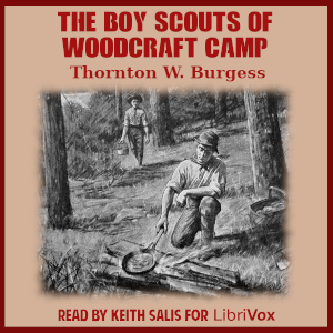 The Boy Scouts of Woodcraft Camp - Thornton W. Burgess Audiobooks - Free Audio Books | Knigi-Audio.com/en/