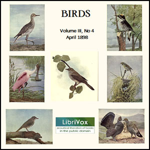 Birds, Vol. III, No 4, April 1898 - Various Audiobooks - Free Audio Books | Knigi-Audio.com/en/