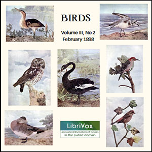 Birds, Vol. III, No 2, February 1898 - Various Audiobooks - Free Audio Books | Knigi-Audio.com/en/