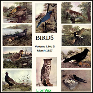 Birds, Vol. I, No 3, March 1897 - Various Audiobooks - Free Audio Books | Knigi-Audio.com/en/
