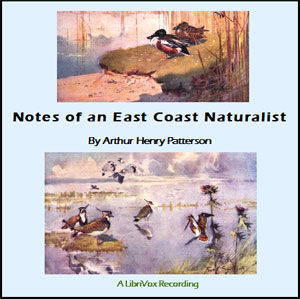 Notes of An East Coast Naturalist - Arthur Henry PATTERSON Audiobooks - Free Audio Books | Knigi-Audio.com/en/