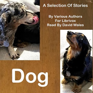 Dog: A Selection of Stories - Various Audiobooks - Free Audio Books | Knigi-Audio.com/en/