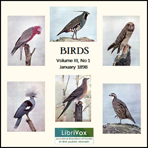 Birds, Vol. III, No 1, January 1898 - Various Audiobooks - Free Audio Books | Knigi-Audio.com/en/