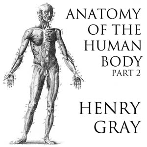 Anatomy of the Human Body, Part 2 (Gray's Anatomy) - Henry Gray Audiobooks - Free Audio Books | Knigi-Audio.com/en/