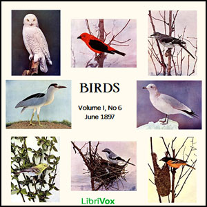 Birds, Vol. I, No 6, June 1897 - Various Audiobooks - Free Audio Books | Knigi-Audio.com/en/