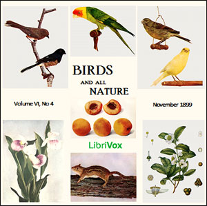 Birds and All Nature, Vol. VI, No 4, November 1899 - Various Audiobooks - Free Audio Books | Knigi-Audio.com/en/
