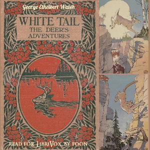 White Tail the Deer's Adventures - George Ethelbert Walsh Audiobooks - Free Audio Books | Knigi-Audio.com/en/