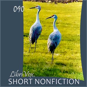 Short Nonfiction Collection, Vol. 090 - Various Audiobooks - Free Audio Books | Knigi-Audio.com/en/