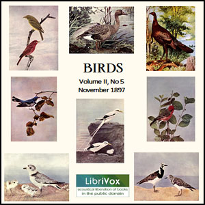 Birds, Vol. II, No 5, November 1897 - Various Audiobooks - Free Audio Books | Knigi-Audio.com/en/