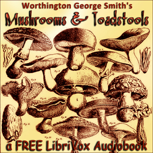 Mushrooms and Toadstools (Third Edition) - Worthington George Smith Audiobooks - Free Audio Books | Knigi-Audio.com/en/