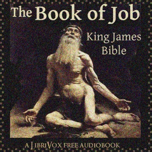 Bible (KJV) 18: Job (version 3) - King James Version Audiobooks - Free Audio Books | Knigi-Audio.com/en/