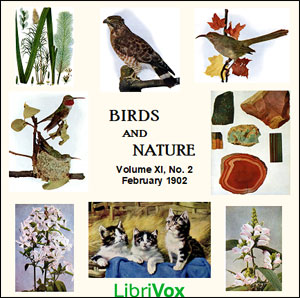 Birds and Nature, Vol. XI, No 2, February 1902 - Various Audiobooks - Free Audio Books | Knigi-Audio.com/en/