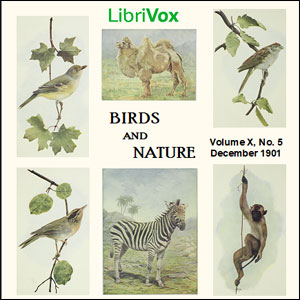 Birds and Nature, Vol. X, No 5, December 1901 - Various Audiobooks - Free Audio Books | Knigi-Audio.com/en/
