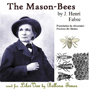 The Mason-Bees - Jean-Henri FABRE Audiobooks - Free Audio Books | Knigi-Audio.com/en/