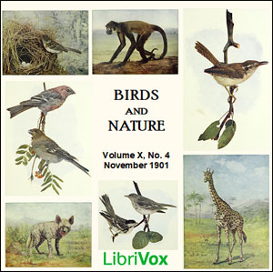 Birds and Nature, Vol. X, No 4, November 1901 - Various Audiobooks - Free Audio Books | Knigi-Audio.com/en/