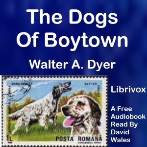 The Dogs Of Boytown - Walter Alden Dyer Audiobooks - Free Audio Books | Knigi-Audio.com/en/