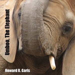 Umboo, The Elephant - Howard R. Garis Audiobooks - Free Audio Books | Knigi-Audio.com/en/